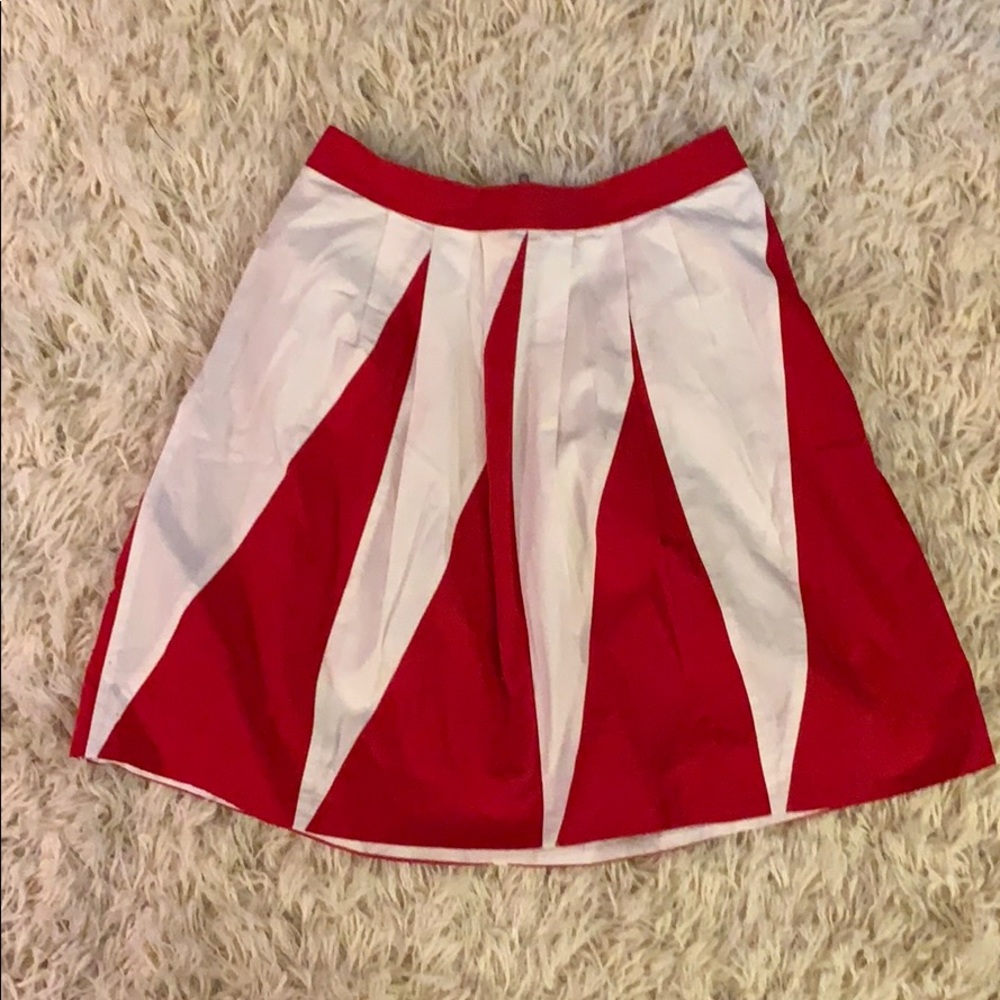 Anthropologie Floreat Skirt Size 6